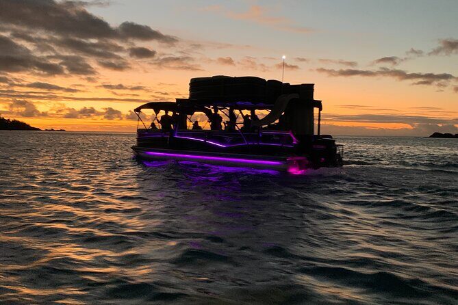 Moorea Sunset Boat Tour - Rays and sharks spot: what to expect and what to bring mentally