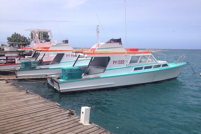 Papeete and Tahiti Historical and Cultural Tour - How the 2- to 3-hour route actually unfolds