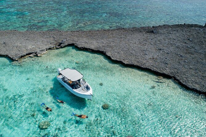 Private 4 Hours Reef Discovery Luxury Private Treasure Hunt in Bora Bora - Key highlights you’ll care about