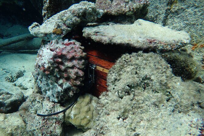 Private 4 Hours Reef Discovery Luxury Private Treasure Hunt in Bora Bora - Why a kids treasure hunt on Bora Bora’s lagoon feels different