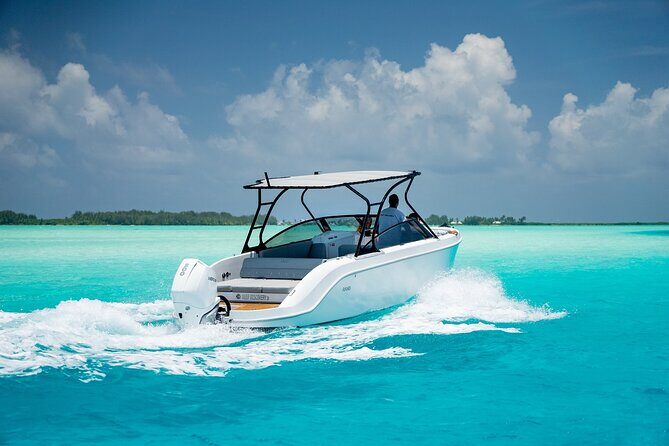 Private 4 Hours Reef Discovery Luxury Private Treasure Hunt in Bora Bora - Guides matter more than you think: Fabien, Pierre, and the kid-first approach