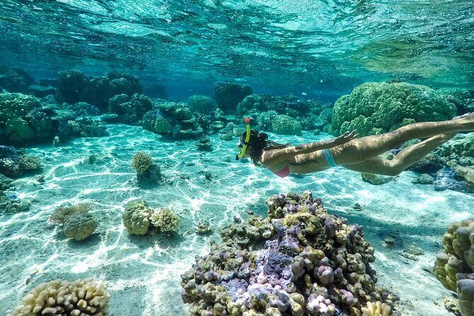 Private 4 Hours Reef Discovery Luxury Private Treasure Hunt in Bora Bora - Price and value: what you’re really paying for