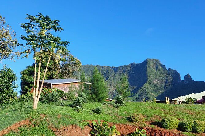 Private and guided visit to Mystery House Raiatea - Key Things to Know Before You Go to Mystery House Raiatea