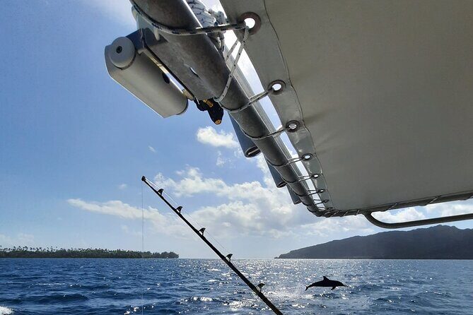 Private Big Game Fishing Tour in Raiatea - Key highlights you’ll care about