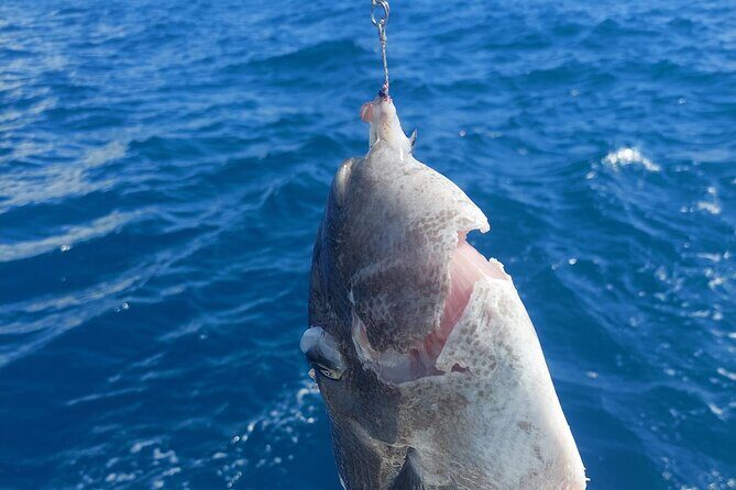 Private Big Game Fishing Tour in Raiatea - Second phase: heavy coastal trolling further offshore