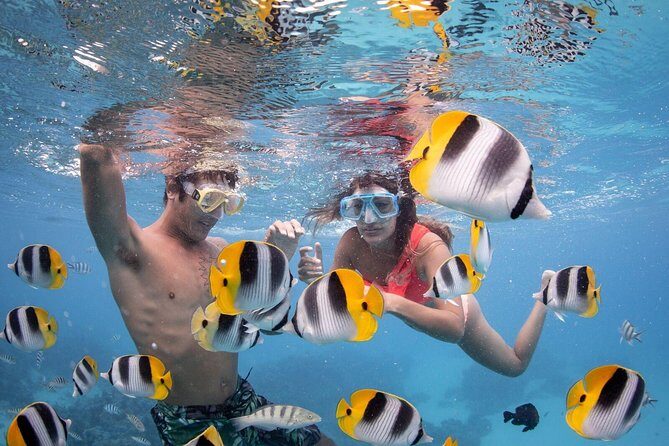 Private Boat Rental on Cap Camarat 17ft - Snorkeling Stops and Wildlife: How the Captain Chooses Your Spots