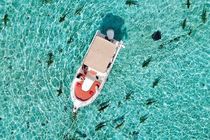 Private Bora Bora Lagoon Experience - What to Bring (So You Enjoy Every Minute on the Water)