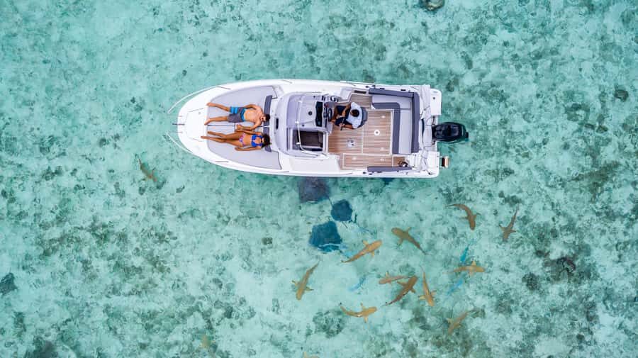 Private Bora Bora Lagoon Snorkel Cruise with BBQ Picnic - FAQ