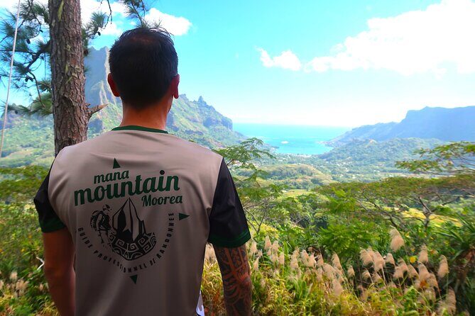 Private Day Trip Hike and Boat in Moorea - Pineapple fields and archaeology: why the land part feels more personal