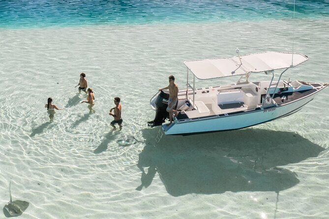 Private Discovery of the Marine Fauna of Moorea - Key highlights worth planning around