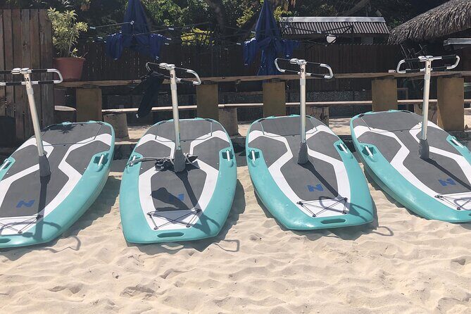 Private Electric Paddle Cruise in Bora Bora - Price Per Person and What Makes It Good Value