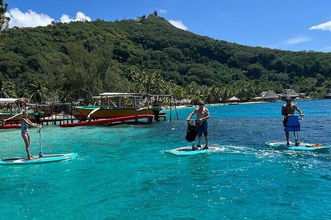 Private Electric Paddle Cruise in Bora Bora - Should You Book the Private Electric Paddle Cruise in Bora Bora?