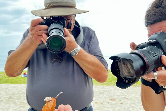 Private excursion to Moorea, photo tour & immersive discovery - Why this Moorea tour fits real photo goals