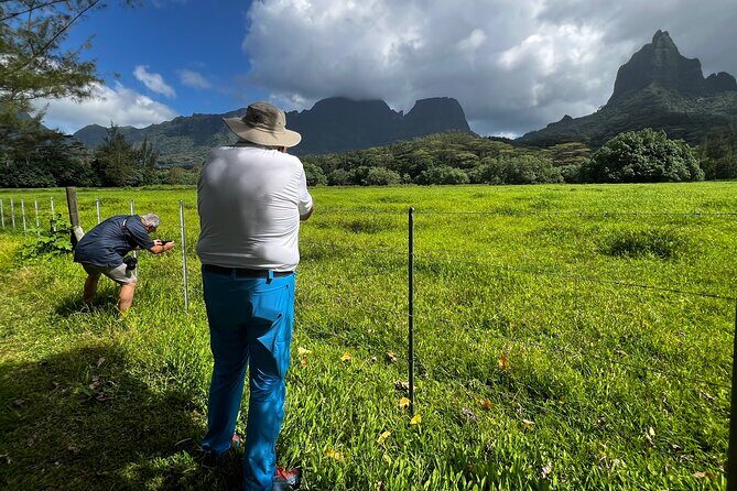 Private excursion to Moorea, photo tour & immersive discovery - What makes the photo coaching actually useful