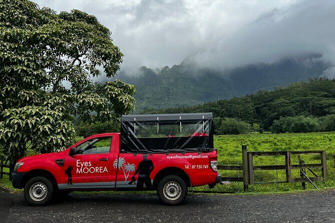 Private excursion to Moorea, photo tour & immersive discovery - Timed well for a 4-hour Moorea experience