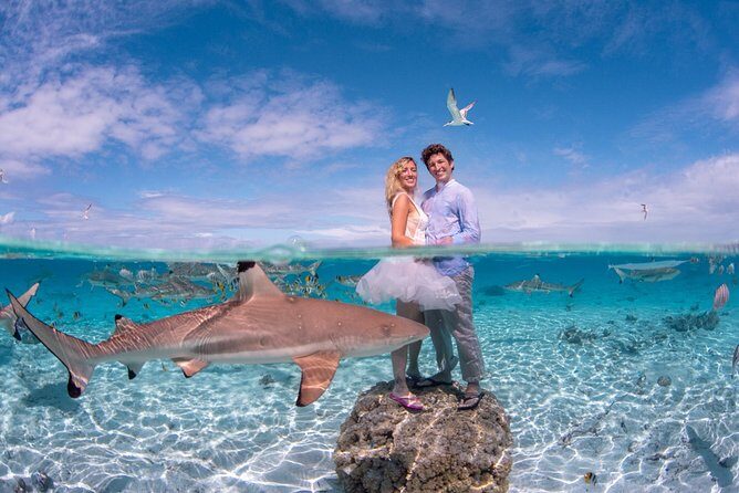Private Full Day Aquatic Photo Tour + Resort Photo-Shoot (All inclusive) - Key things I’d focus on before you book