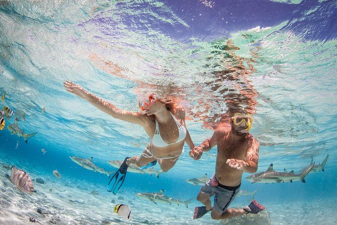 Private Full Day Aquatic Photo Tour + Resort Photo-Shoot (All inclusive) - Semi-submerged and fully underwater shots with waterproof cameras