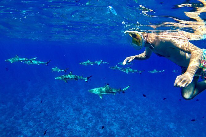 PRIVATE FULL DAY LAGOON TOUR - Bora Bora Cultural Lagoon Tour - Key things I’d mark on your Bora Bora map