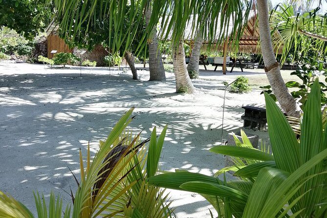 PRIVATE FULL DAY LAGOON TOUR - Bora Bora Cultural Lagoon Tour - A private Polynesian canoe day in Bora Bora’s lagoon