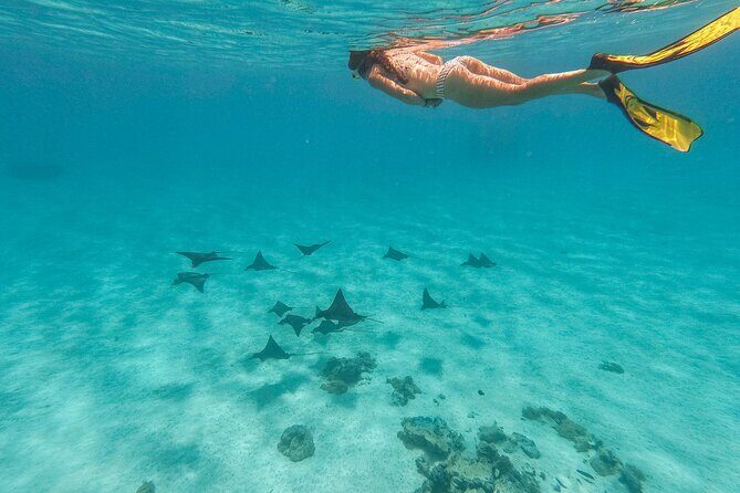 PRIVATE FULL DAY LAGOON TOUR - Bora Bora Cultural Lagoon Tour - Price and value: what $2,247 per group really buys you