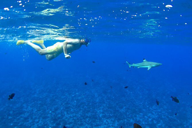 PRIVATE FULL DAY LAGOON TOUR - Bora Bora Cultural Lagoon Tour - Coral garden and stingrays: the first taste of the lagoon