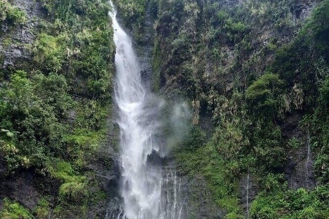 Private Full Day Tour of Tahiti - Vairao and the Sacred Eels: Short, Local, and Memorable