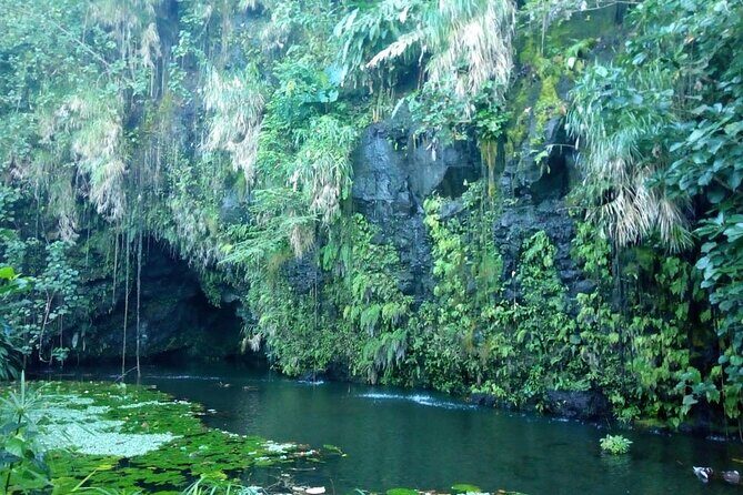 Private Full Day Tour of Tahiti - Arahoho Blowhole: The Water That Shoots Back