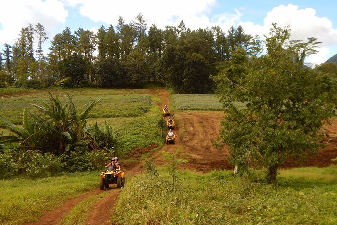 Private Half-Day Hike in the Opunohu Valley in Moorea - Safety and comfort: what to wear and how to show up