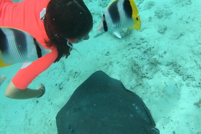PRIVATE HALF DAY LAGOON TOUR - Bora Bora Cultural Lagoon Tour - Coral Gardens and Hundreds of Tropical Fish