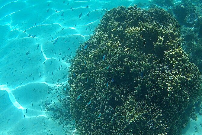 Private Half Day Sailing Excursion on the Lagoon of Tahiti - The half-day timeline: a relaxed 3 hours 45 minutes on Tahiti time
