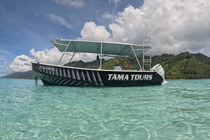 Private Lagoon Exploration and Snorkeling in Moorea - Underwater Tiki Viewing and Tamatoa’s Moorea Connection