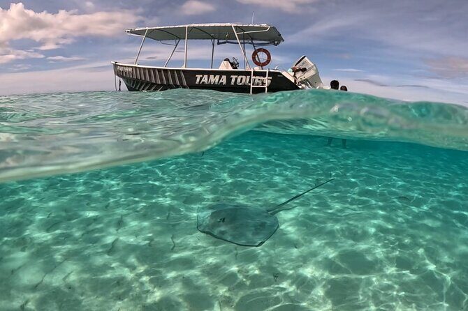 Private Lagoon Exploration and Snorkeling in Moorea - Snacks, No Lunch: How to Time Your Day