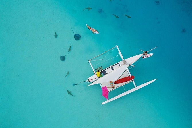Private Moorea Discovery Half-day Sailing - Key Things to Know Before You Book