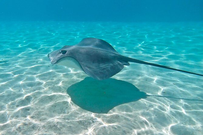 PRIVATE Sunset Tour: Moorea Snorkeling on a Catamaran named Taboo - Price and value: what $848.24 gets you for a group of up to 4