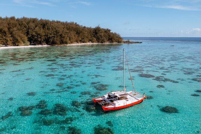 PRIVATE Sunset Tour: Moorea Snorkeling on a Catamaran named Taboo - When this Taboo sunset snorkel tour is the best fit