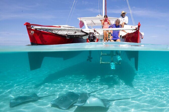 PRIVATE Sunset Tour: Moorea Snorkeling on a Catamaran named Taboo - How the snorkeling fits: rays, sharks, and coral garden time