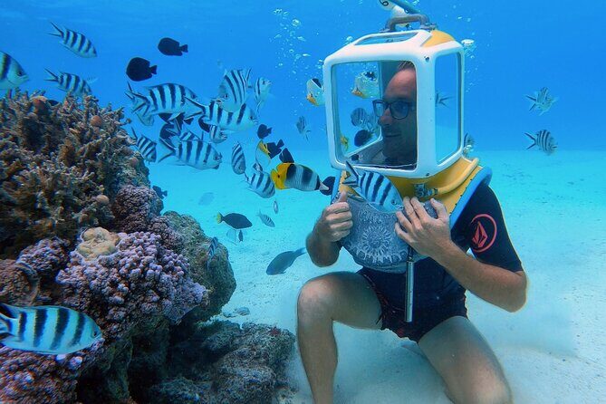 Private Tour: Aqua Safari Scuba Diving - Key things to know before you go