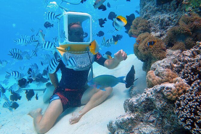 Private Tour: Aqua Safari Scuba Diving - What you’re actually doing (and why it works)