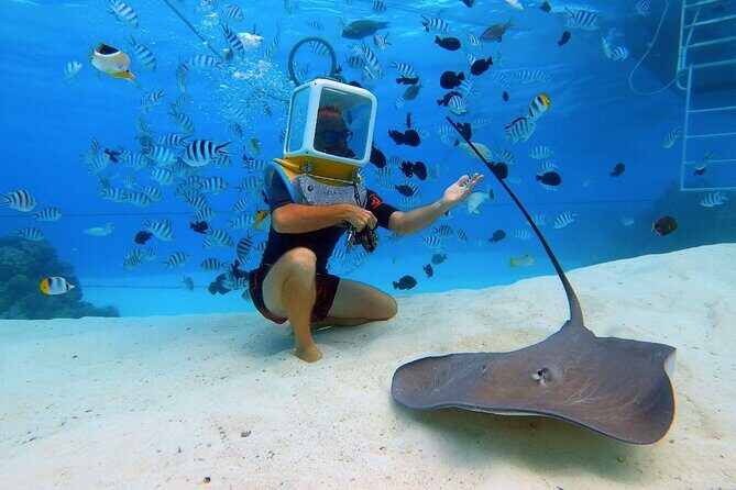 Private Tour: Aqua Safari Scuba Diving - How the timing usually feels: 2 hours total, 30 minutes underwater