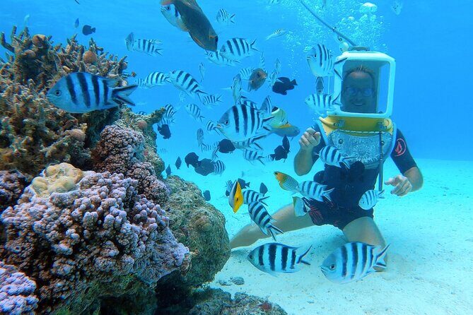 Private Tour: Aqua Safari Scuba Diving - Private comfort: what you gain with a “your group only” format