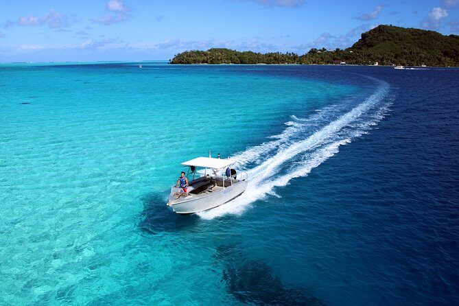 Private Tour: Aqua Safari Scuba Diving - Marine life you can realistically expect