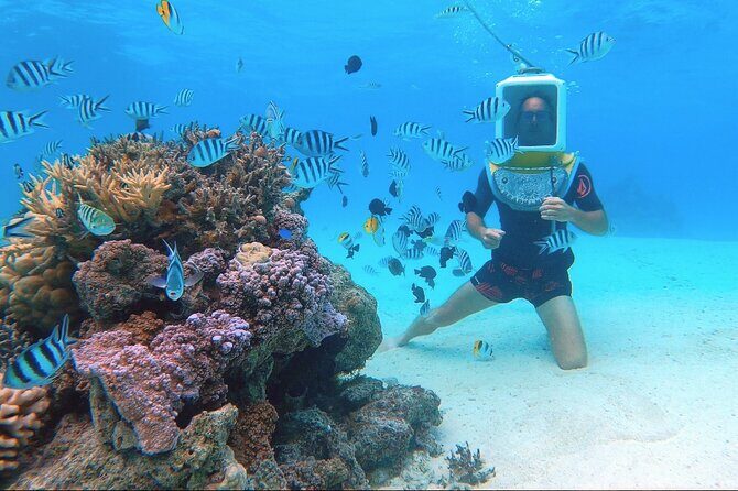Private Tour: Aqua Safari Scuba Diving - Value for money: what you’re paying for with a private helmet session