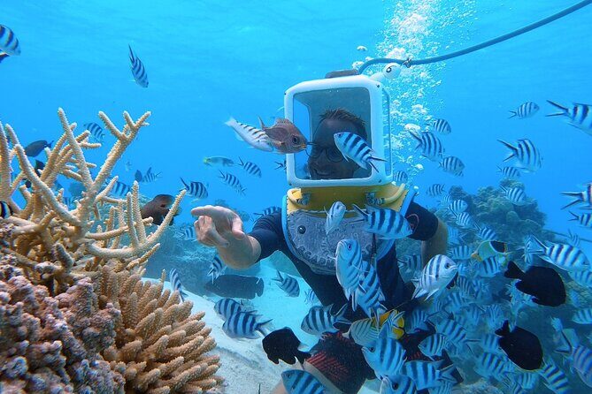 Private Tour: Aqua Safari Scuba Diving - The Bora Bora lagoon: coral garden viewing from a comfortable height