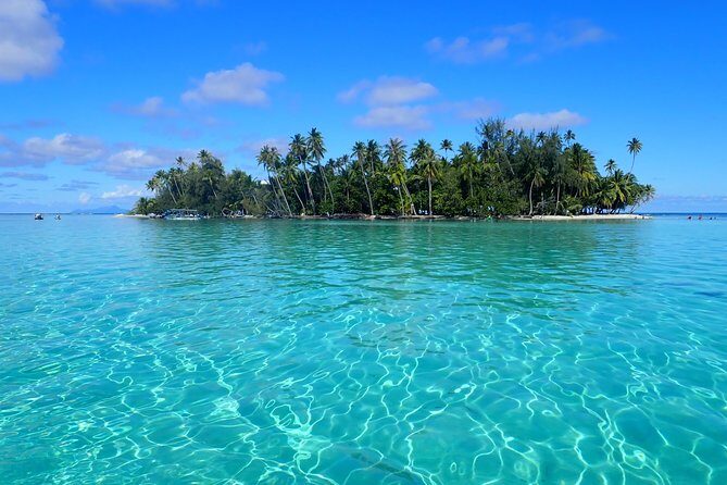 Private tour from Raiatea - 1/2 day excursion to Tahaa or other - Key things I’d highlight before you go