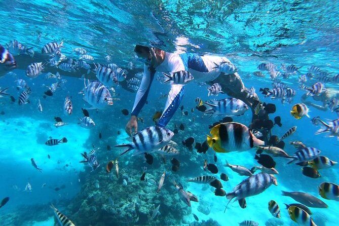 Private tour from Raiatea - 1/2 day excursion to Tahaa or other - Tahaa by private boat: the quick-change vacation move