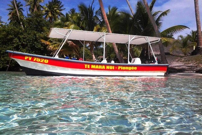 Private tour from Raiatea - 1/2 day excursion to Tahaa or other - The full half-day flow (and how to choose your best match)