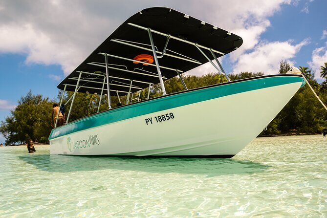 Private tour whale watching and snorkeling in Moorea - Meeting Point and Timing: Keeping Your Day Stress-Free