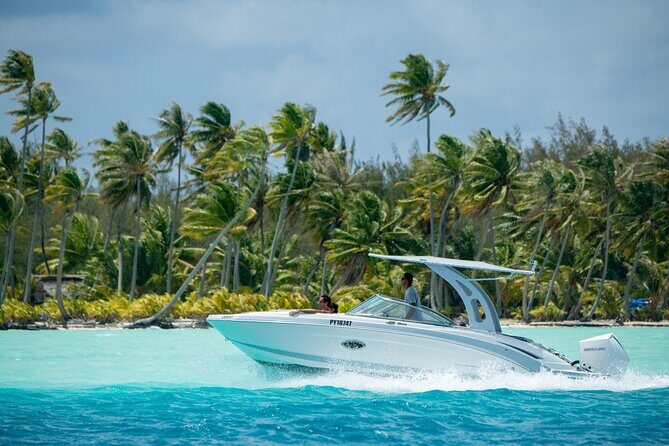 Reef Discovery Private Half Day Lagoon Tour - Key things I’d put on your radar