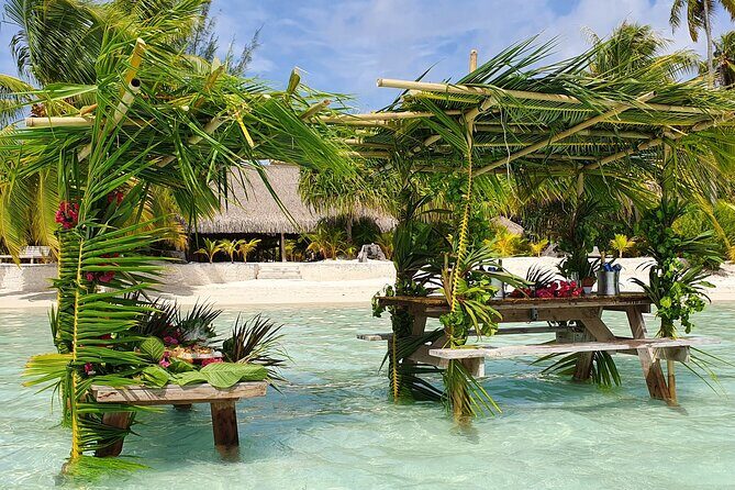 Reef Discovery Private Half Day Lagoon Tour - Who This Tour Fits Best—and Who Might Prefer a Different Option