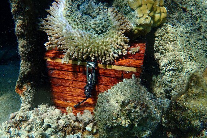 Reef Discovery Private Treasure Hunt - Snorkeling gear included: one less thing to pack and stress about